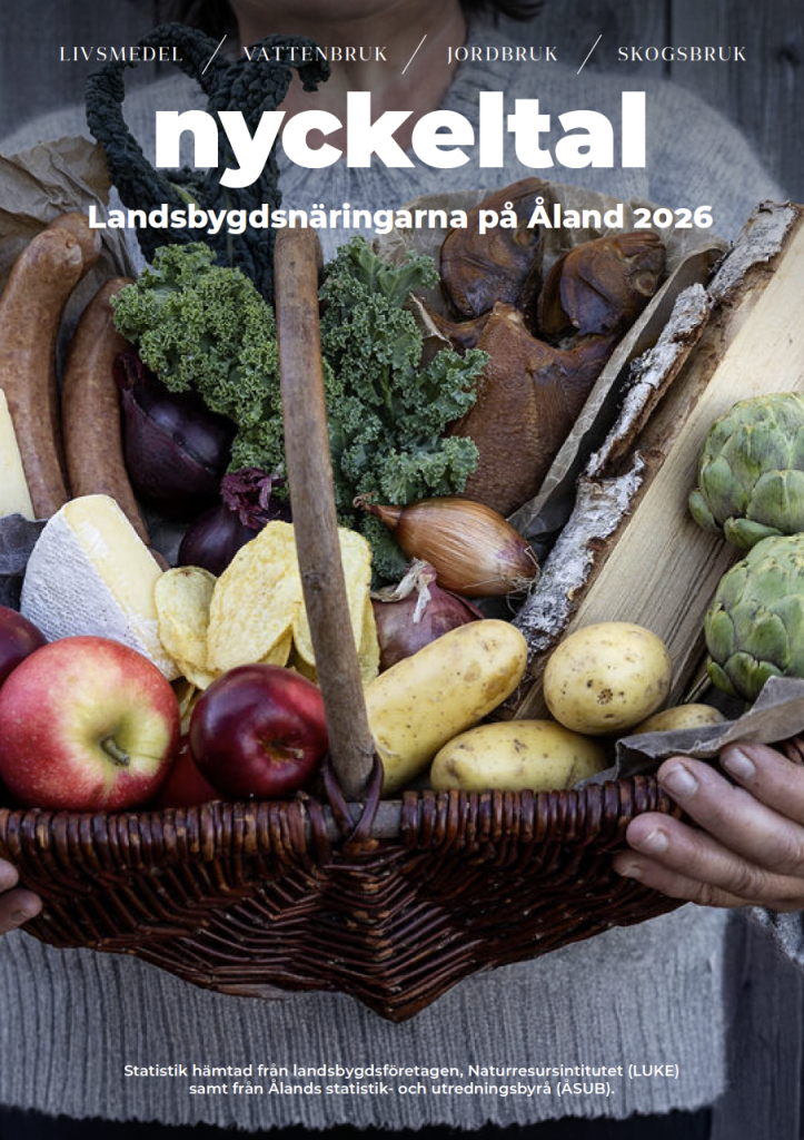 Broschyrens pärm
