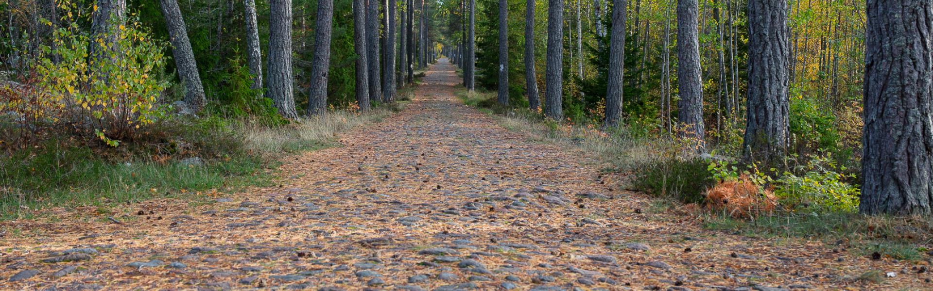 sålisbatteriväg